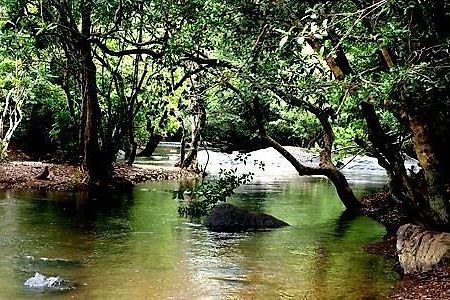 Отель Anizham Jungle Star Thirunelly Экстерьер фото
